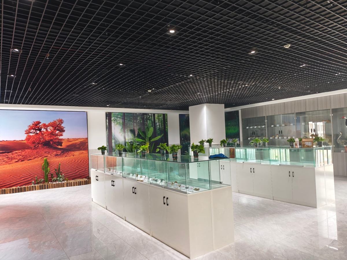 标本展示厅实景